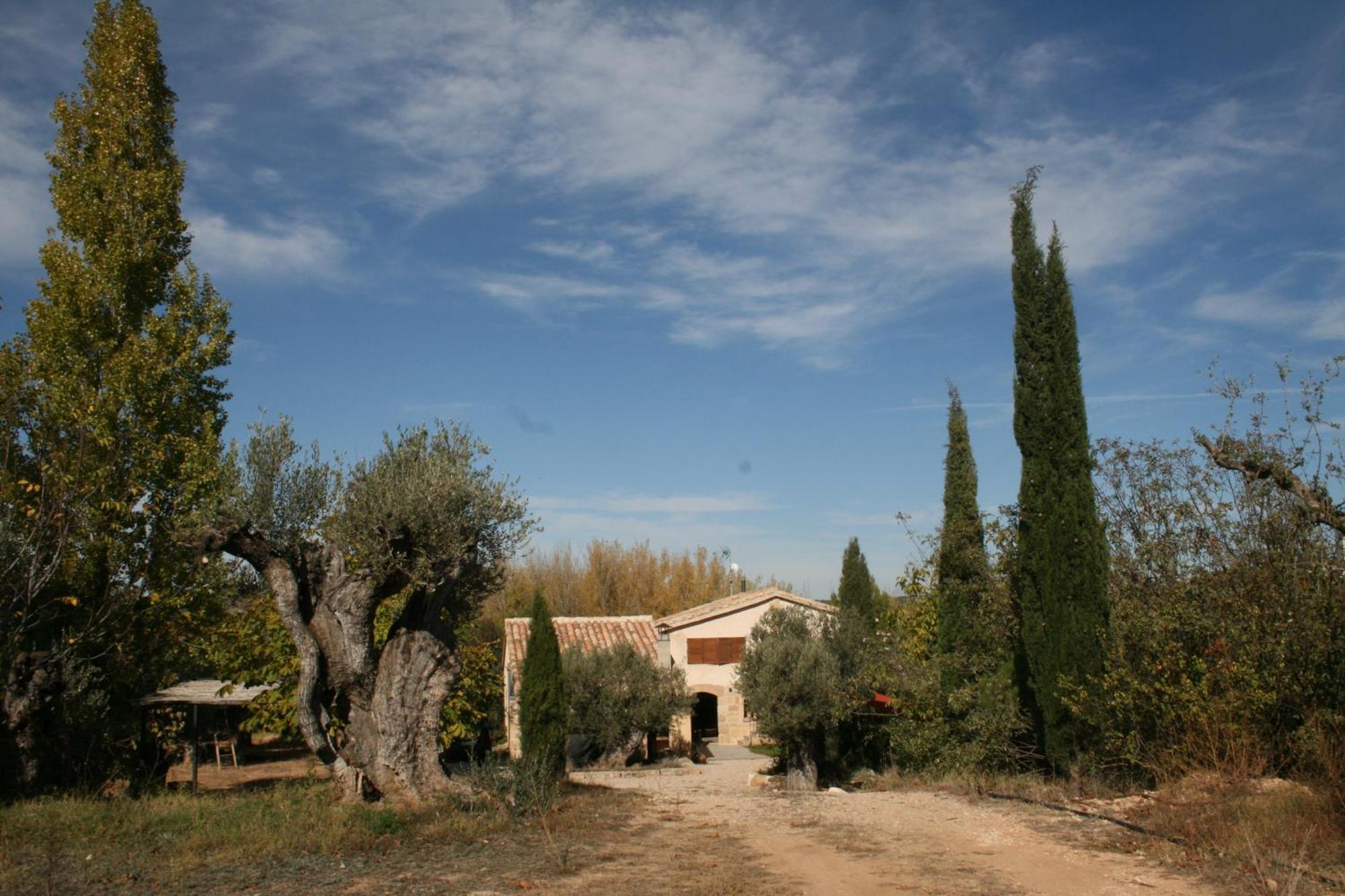 Maset Del Riu Guest House Valderrobres Luaran gambar