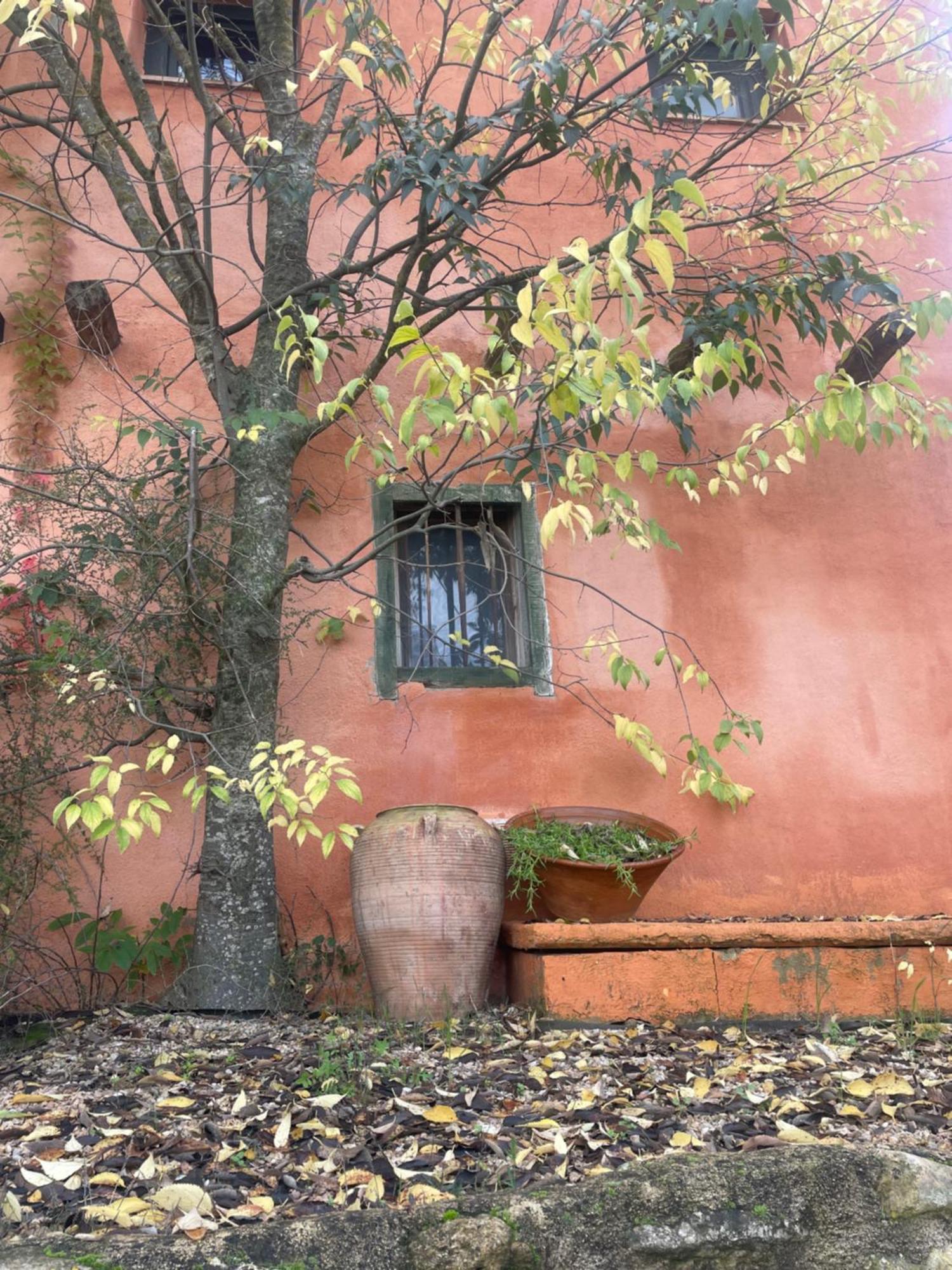Maset Del Riu Guest House Valderrobres Luaran gambar